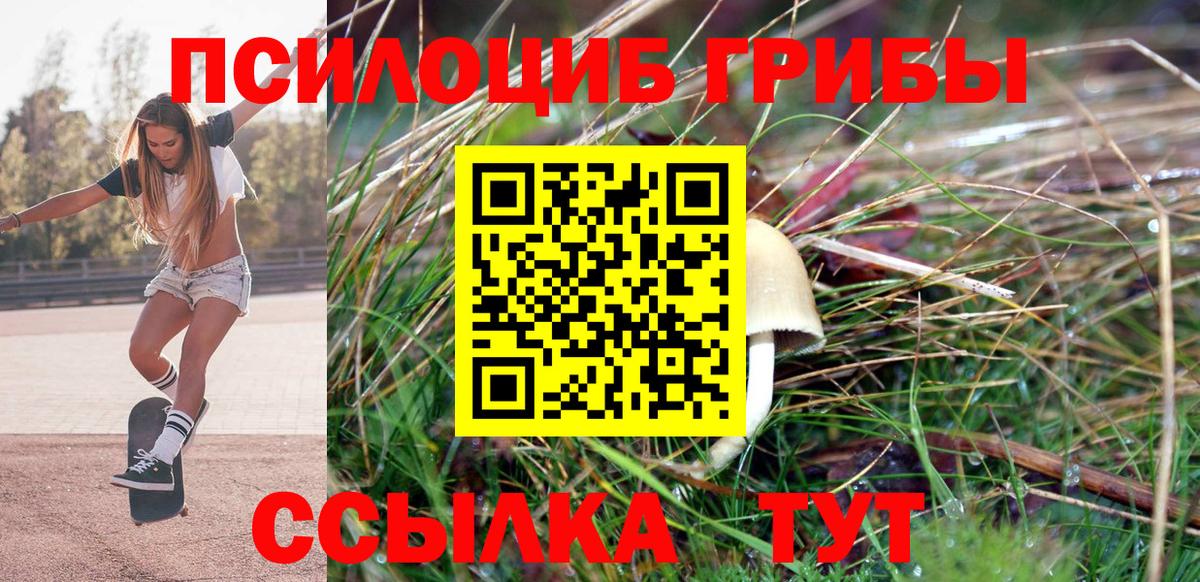 Галлюциногенные грибы ЛСД  Вход с VPN  Котлас  Псилоцибиновые грибы GOLDEN TEACHER 