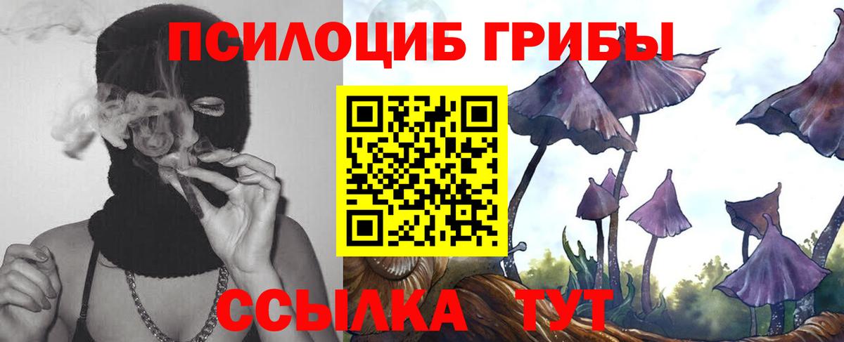 Галлюциногенные грибы GOLDEN TEACHER Котлас
